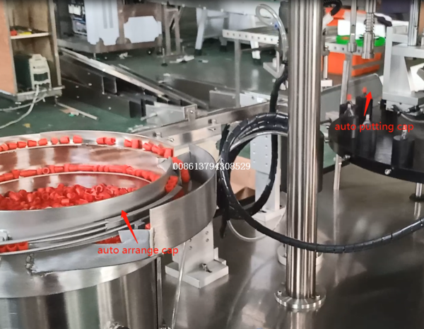 Automatic diagnostic reagent filling machine equipment (2).jpg