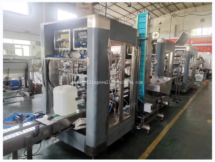 Weight Filler Weigh Filling and Pack Machine (3).jpg
