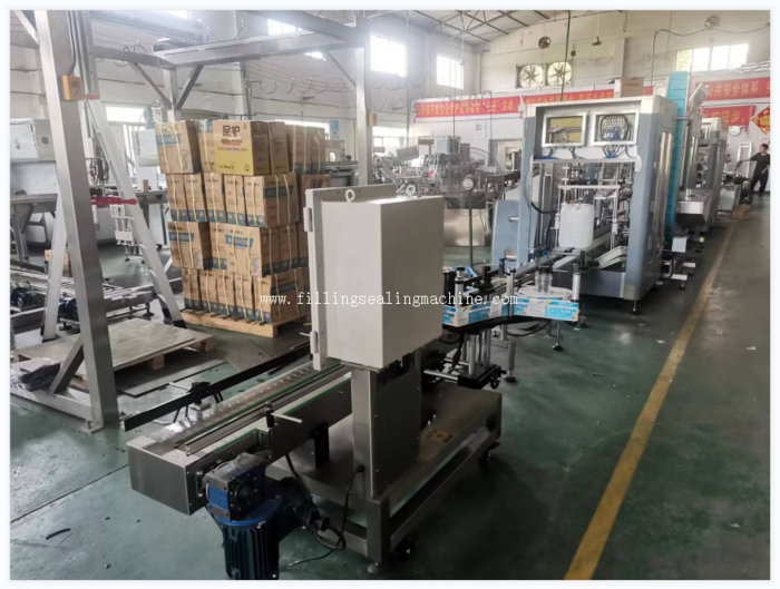Weight Filler Weigh Filling and Pack Machine (4).jpg